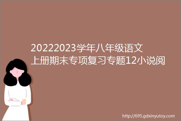 20222023学年八年级语文上册期末专项复习专题12小说阅读