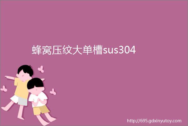 蜂窝压纹大单槽sus304