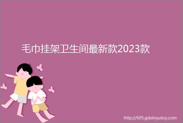 毛巾挂架卫生间最新款2023款