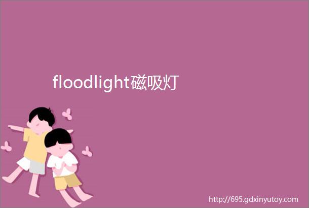 floodlight磁吸灯