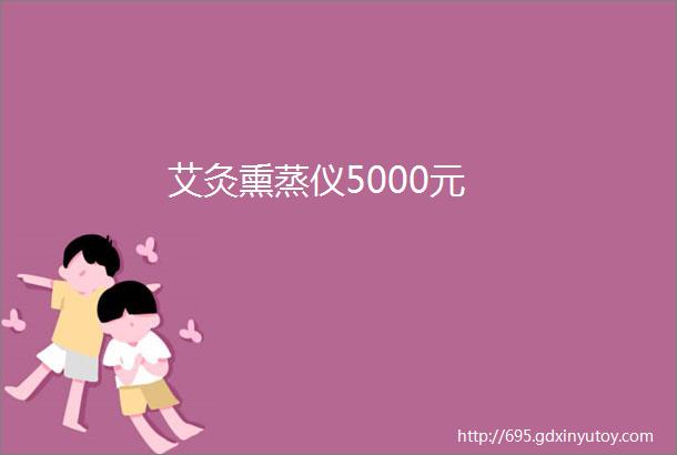 艾灸熏蒸仪5000元