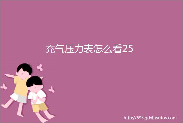 充气压力表怎么看25