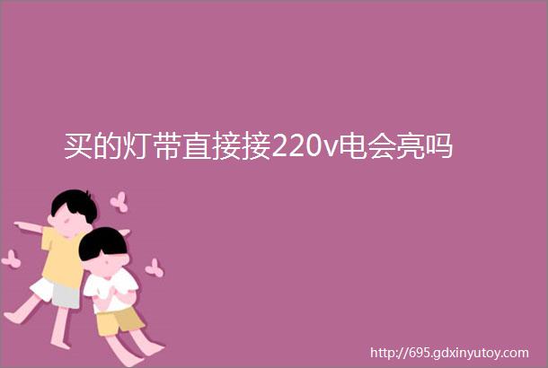 买的灯带直接接220v电会亮吗