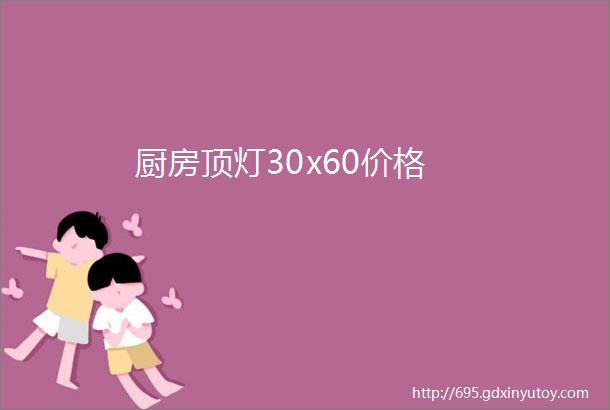 厨房顶灯30x60价格