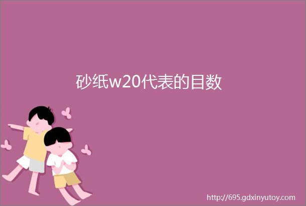 砂纸w20代表的目数