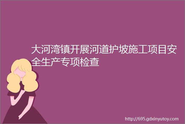 大河湾镇开展河道护坡施工项目安全生产专项检查