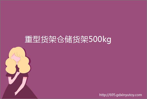 重型货架仓储货架500kg