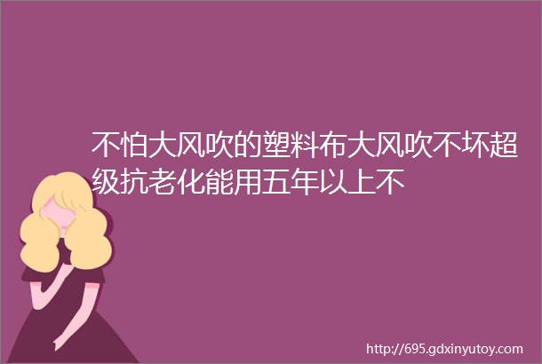 不怕大风吹的塑料布大风吹不坏超级抗老化能用五年以上不