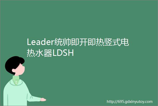 Leader统帅即开即热竖式电热水器LDSH