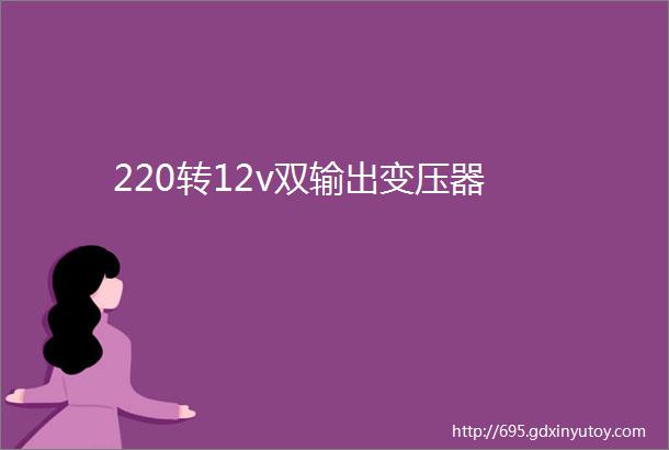 220转12v双输出变压器