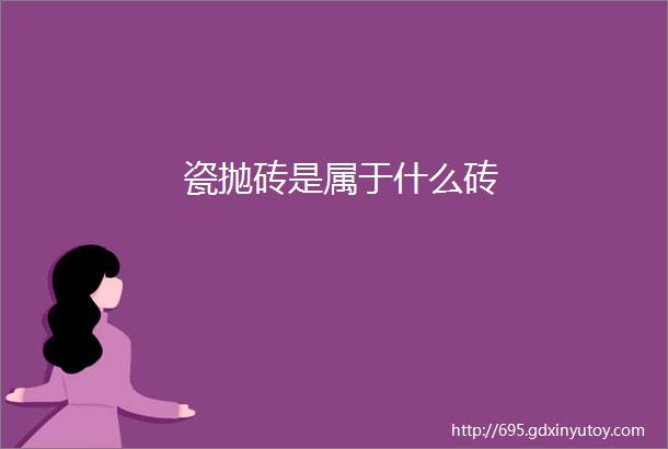 瓷抛砖是属于什么砖