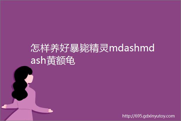 怎样养好暴毙精灵mdashmdash黄额龟