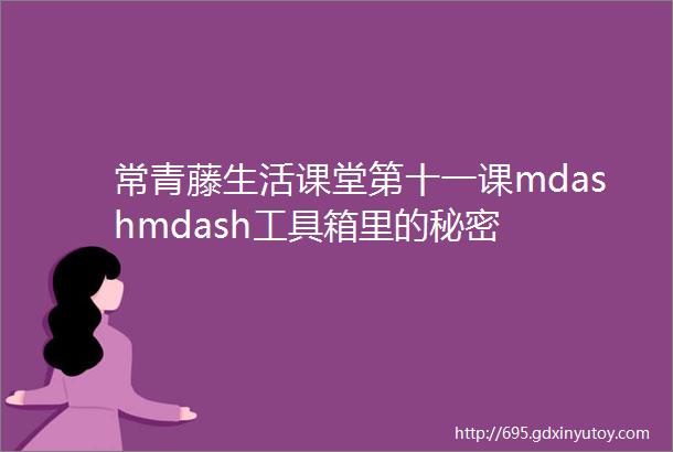 常青藤生活课堂第十一课mdashmdash工具箱里的秘密