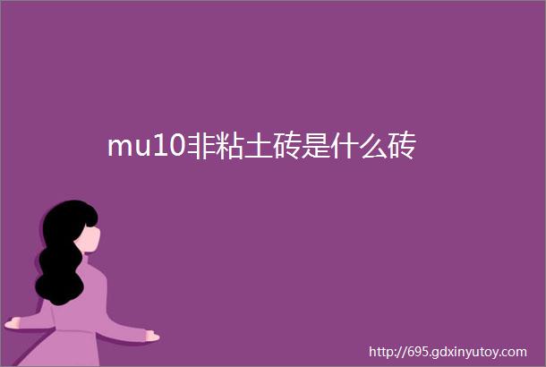 mu10非粘土砖是什么砖