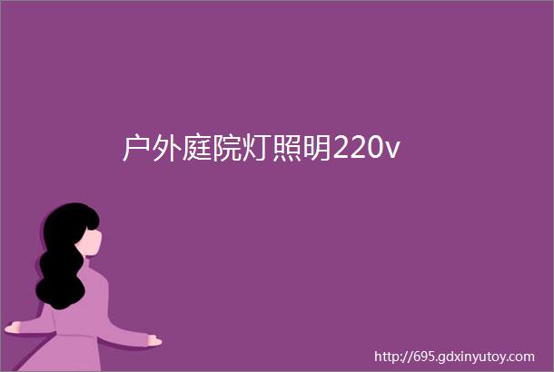 户外庭院灯照明220v