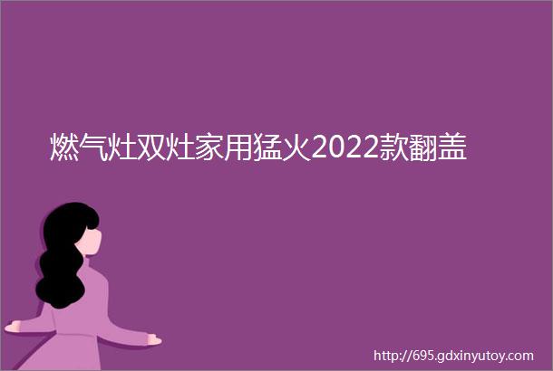 燃气灶双灶家用猛火2022款翻盖