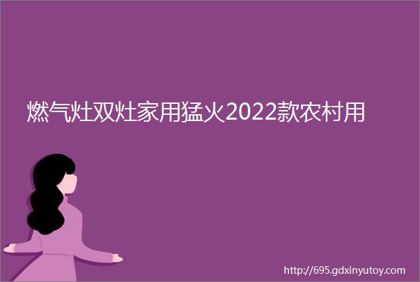 燃气灶双灶家用猛火2022款农村用