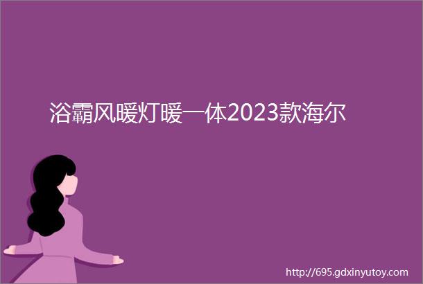 浴霸风暖灯暖一体2023款海尔