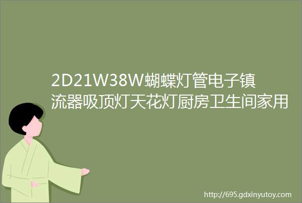 2D21W38W蝴蝶灯管电子镇流器吸顶灯天花灯厨房卫生间家用照明配件