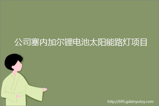 公司塞内加尔锂电池太阳能路灯项目