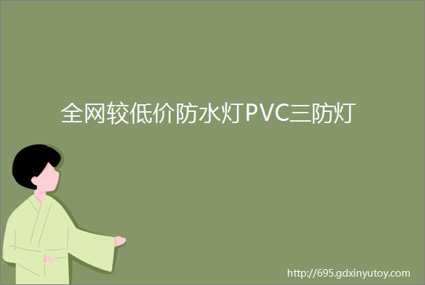 全网较低价防水灯PVC三防灯