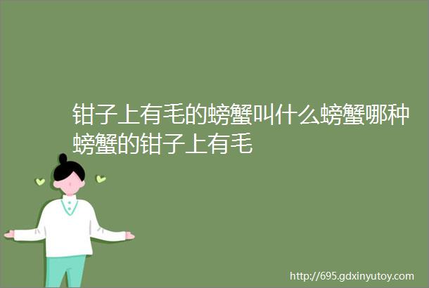 钳子上有毛的螃蟹叫什么螃蟹哪种螃蟹的钳子上有毛