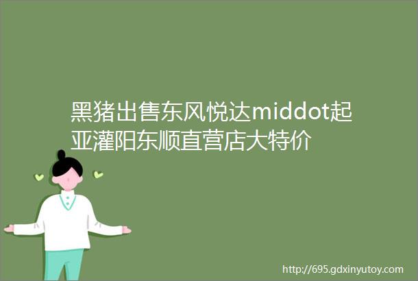 黑猪出售东风悦达middot起亚灌阳东顺直营店大特价