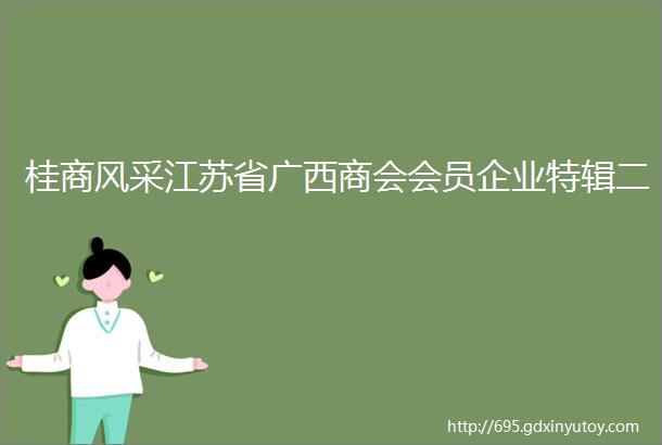 桂商风采江苏省广西商会会员企业特辑二