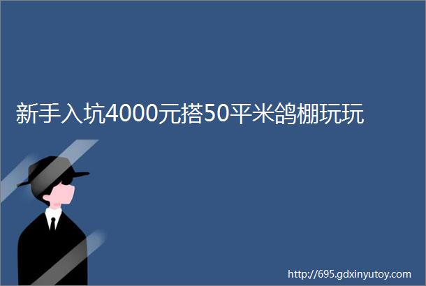 新手入坑4000元搭50平米鸽棚玩玩