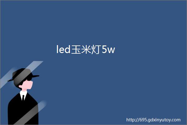 led玉米灯5w