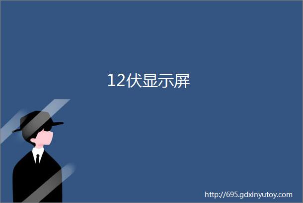 12伏显示屏