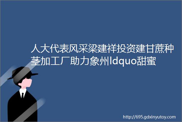 人大代表风采梁建祥投资建甘蔗种茎加工厂助力象州ldquo甜蜜事业rdquo