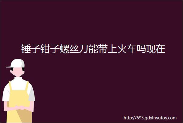 锤子钳子螺丝刀能带上火车吗现在