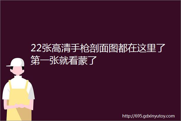 22张高清手枪剖面图都在这里了第一张就看蒙了