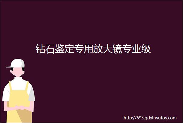 钻石鉴定专用放大镜专业级