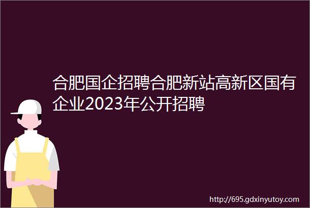 合肥国企招聘合肥新站高新区国有企业2023年公开招聘