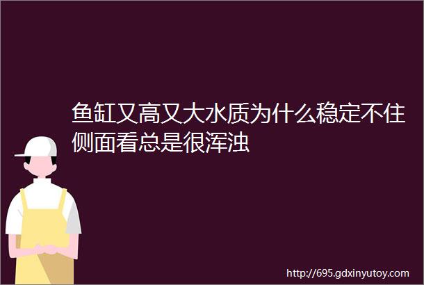 鱼缸又高又大水质为什么稳定不住侧面看总是很浑浊