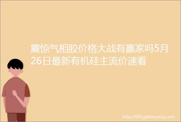 震惊气相胶价格大战有赢家吗5月26日最新有机硅主流价速看