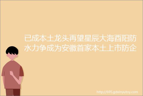 已成本土龙头再望星辰大海酉阳防水力争成为安徽首家本土上市防企专访