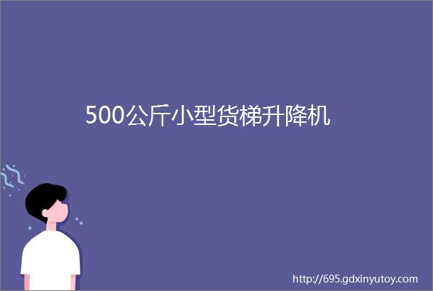 500公斤小型货梯升降机