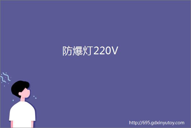 防爆灯220V