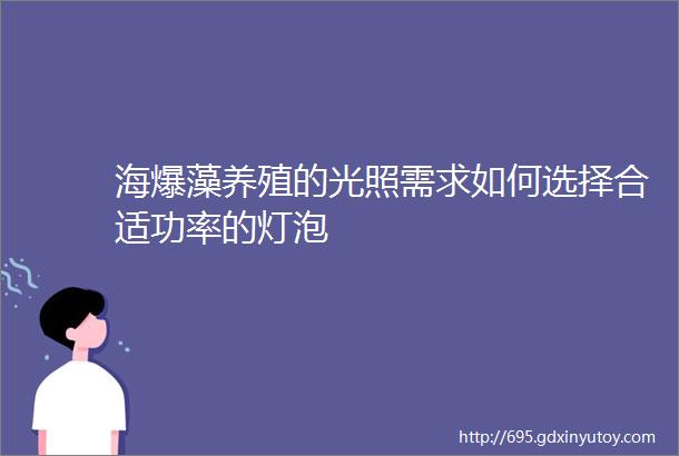 海爆藻养殖的光照需求如何选择合适功率的灯泡