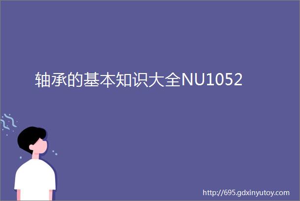 轴承的基本知识大全NU1052