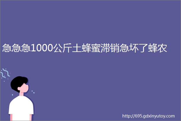 急急急1000公斤土蜂蜜滞销急坏了蜂农