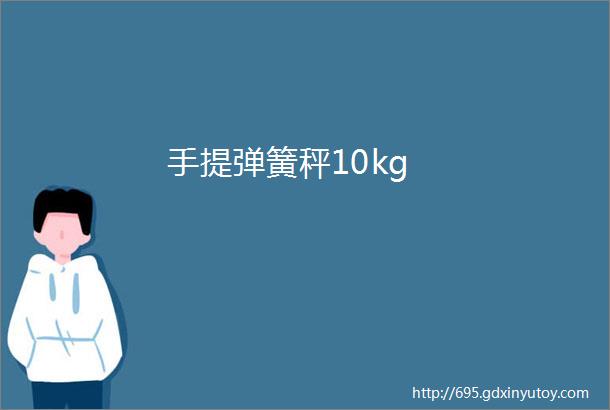 手提弹簧秤10kg