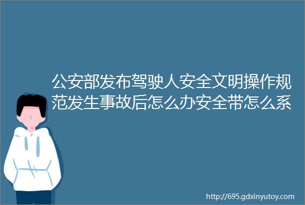 公安部发布驾驶人安全文明操作规范发生事故后怎么办安全带怎么系港湾能否停车GAT17731mdash2021