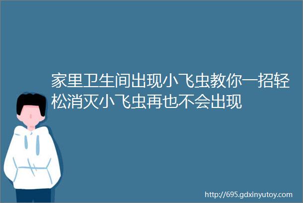 家里卫生间出现小飞虫教你一招轻松消灭小飞虫再也不会出现