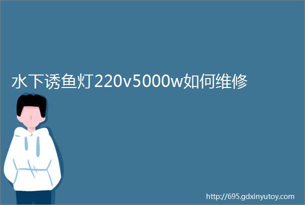 水下诱鱼灯220v5000w如何维修