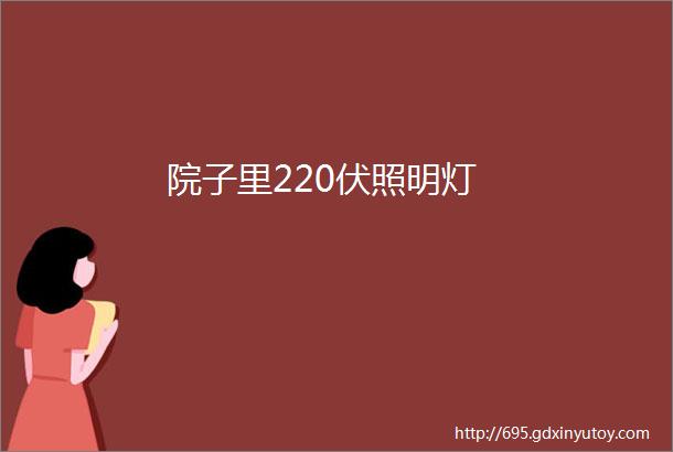 院子里220伏照明灯