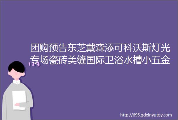 团购预告东芝戴森添可科沃斯灯光专场瓷砖美缝国际卫浴水槽小五金源氏木语